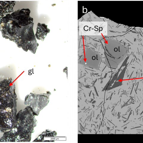 Þunnsneið_syni_20231218